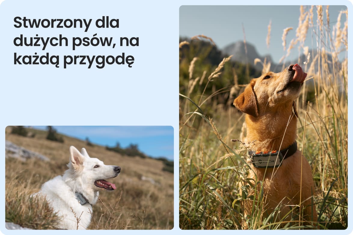 Tractive DOG XL Adventure shown on large dogs in rugged outdoor settings, suited for tough conditions.