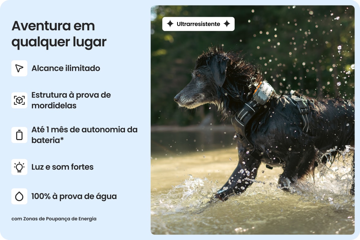 Dog wearing Tractive DOG XL Adventure in water, highlighting waterproof, bite-proof build and long battery life.