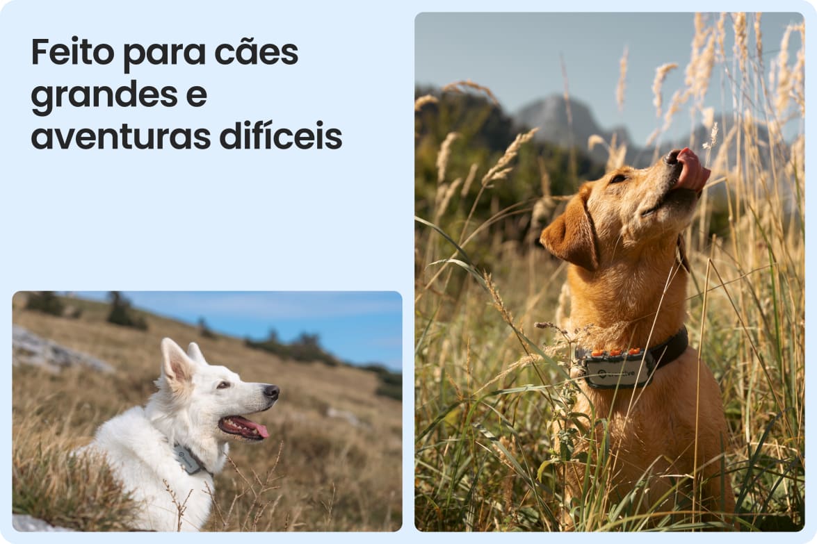 Tractive DOG XL Adventure shown on large dogs in rugged outdoor settings, suited for tough conditions.