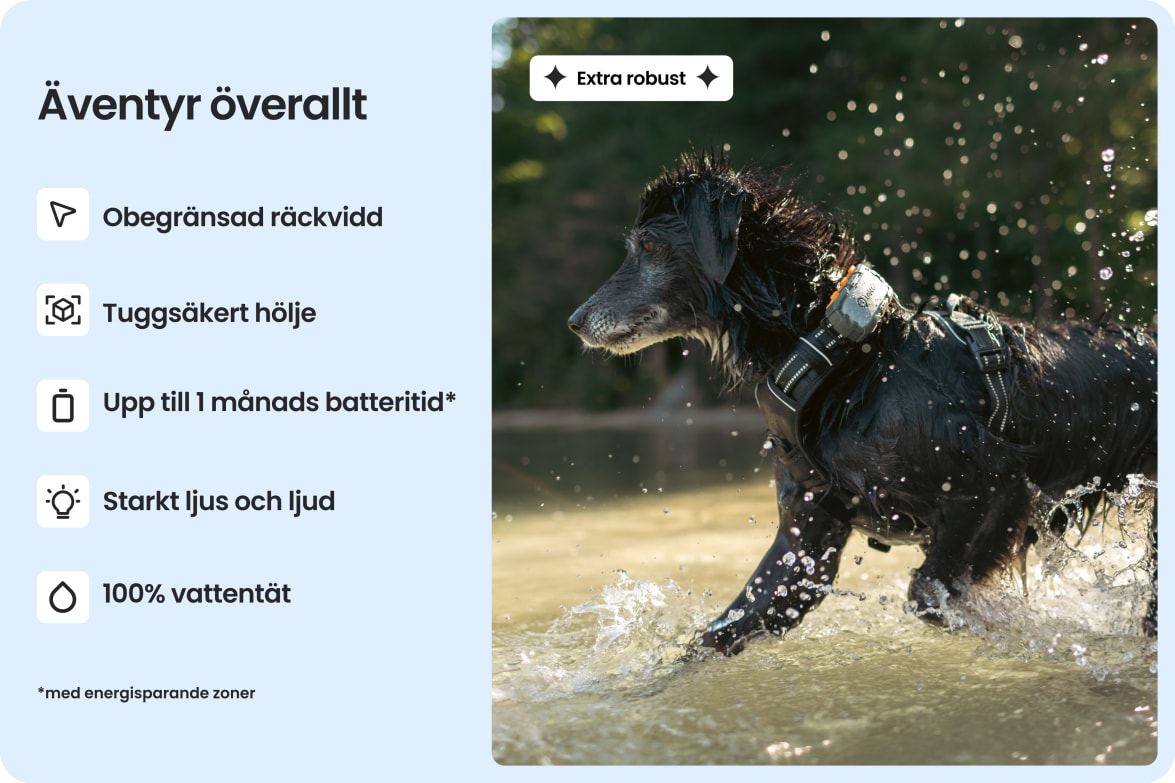 App interface displaying health metrics like vitals, sleep, and activity for dogs wearing Tractive tracker.