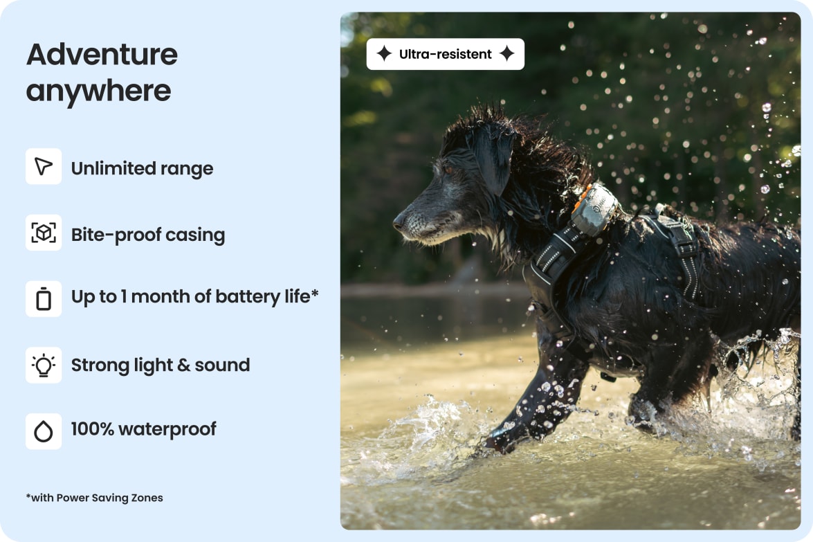 Dog wearing Tractive DOG XL Adventure in water, highlighting waterproof, bite-proof build and long battery life.