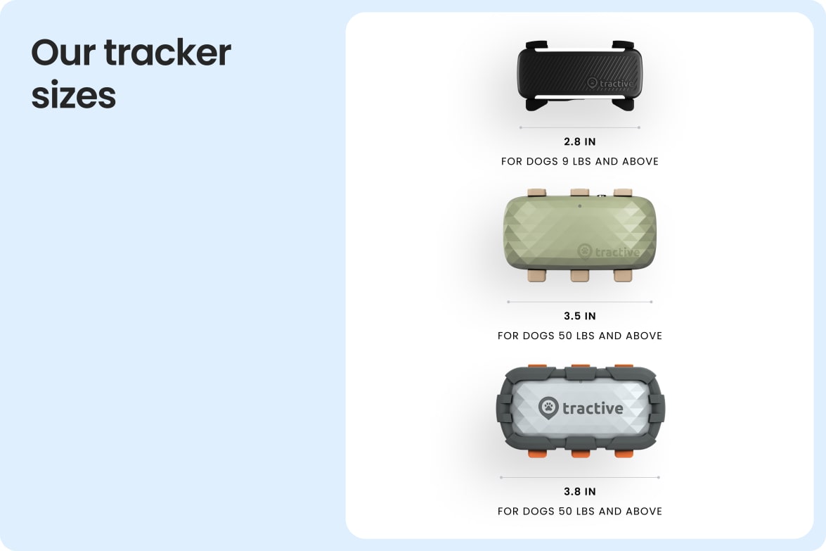 Comparison of Tractive tracker sizes for dogs, including standard and Adventure XL models.