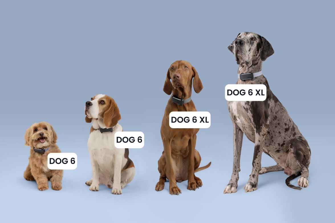 Size comparison