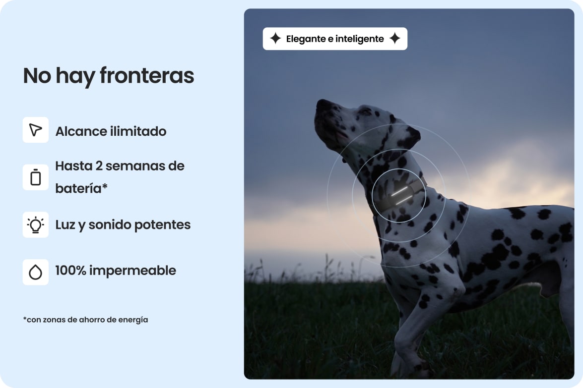Dalmatian wearing Tractive DOG 6 - Black tracker, highlighting waterproof design, long battery life, and unlimited range.