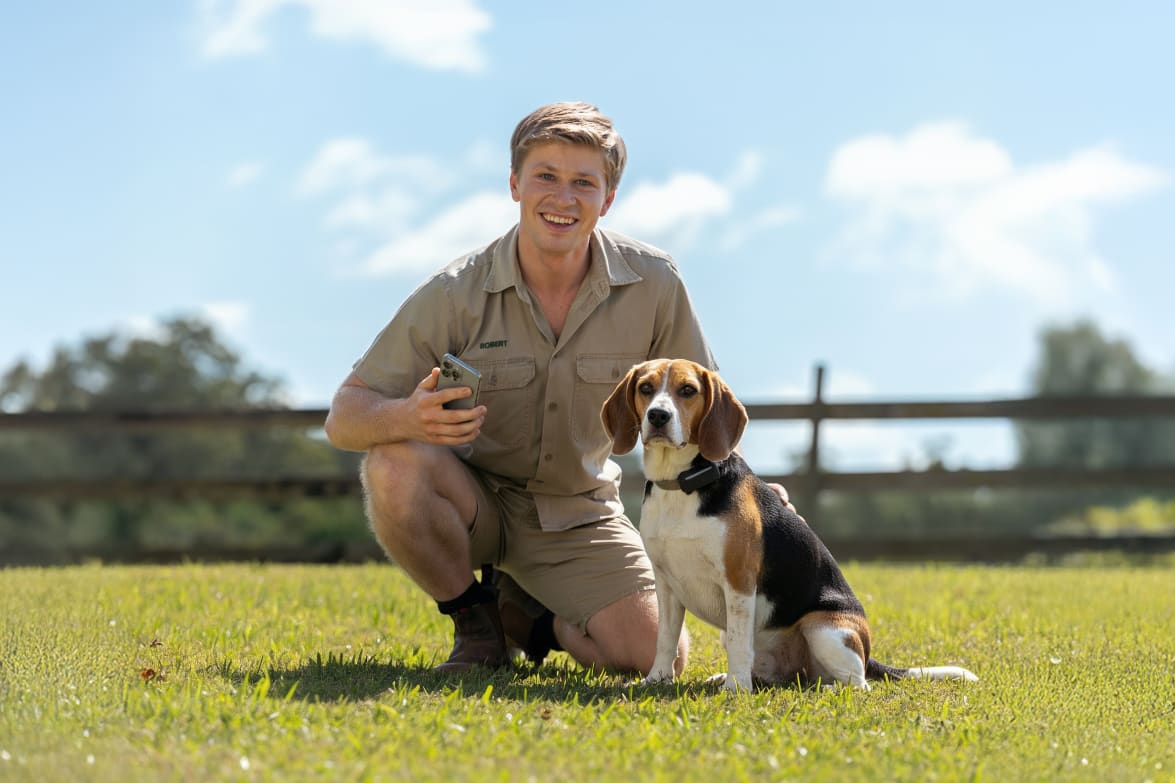 Mid-size dog with tracker and Robert Irwin