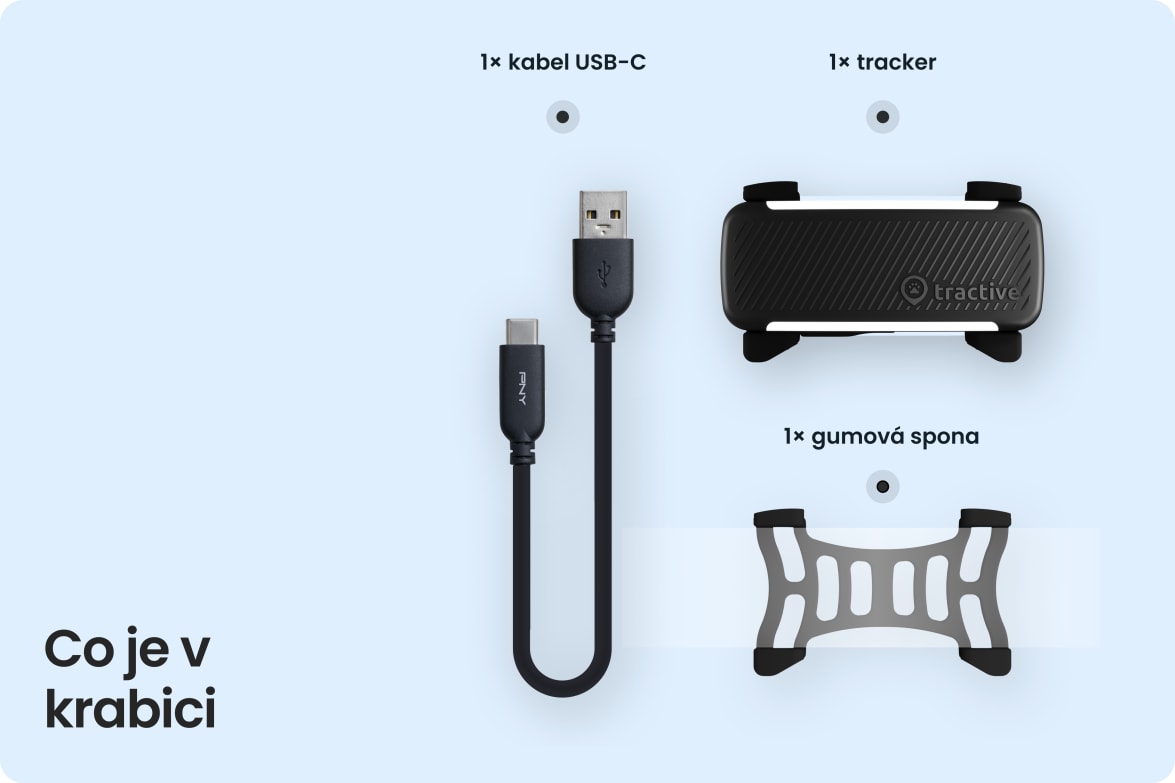 Box contents including Tractive DOG 6 - Black tracker, USB-C cable, and rubber clip.