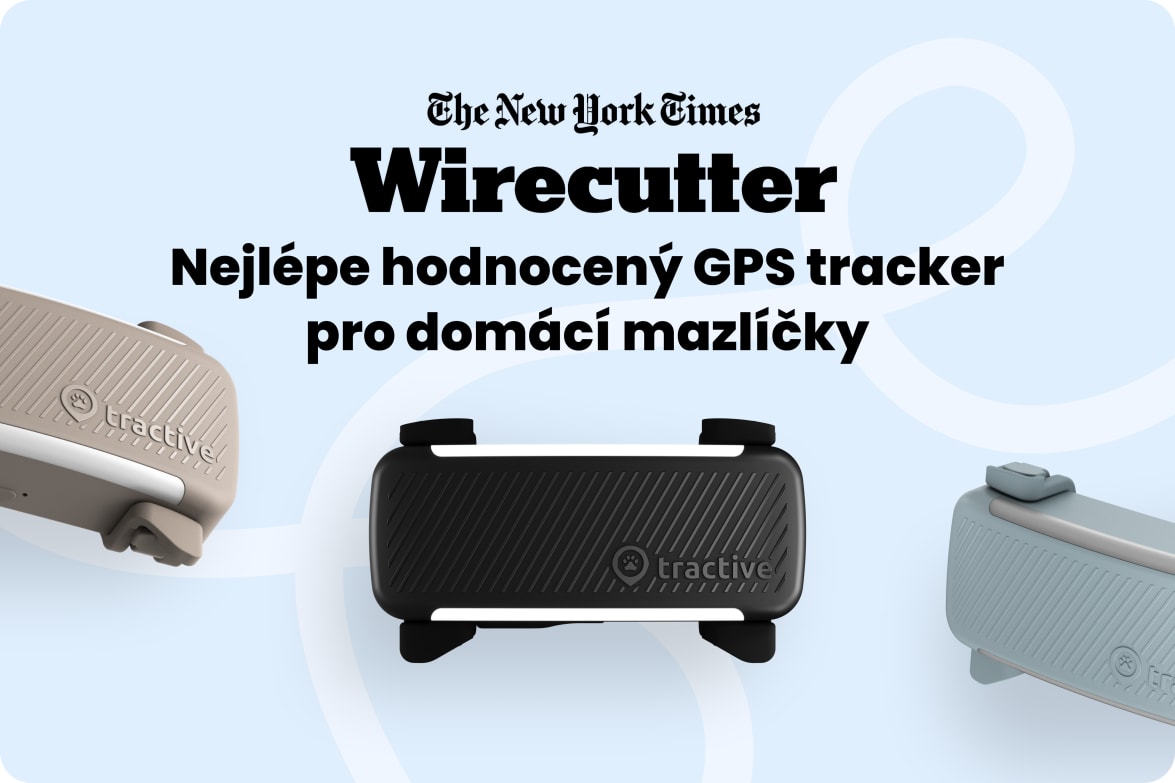 Tractive DOG 6 - Black labeled as #1 rated GPS pet tracker by Wirecutter, shown in multiple colors.