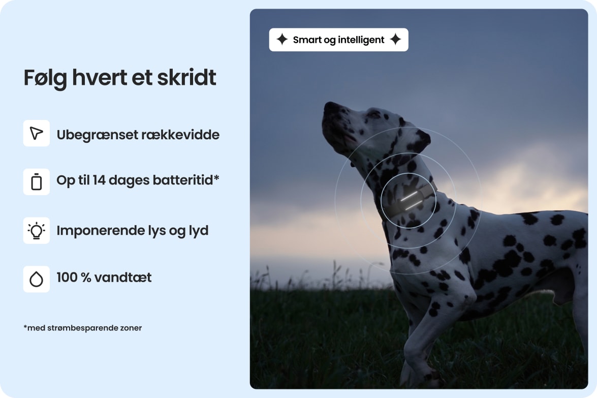 Dalmatian wearing Tractive DOG 6 - Black tracker, highlighting waterproof design, long battery life, and unlimited range.
