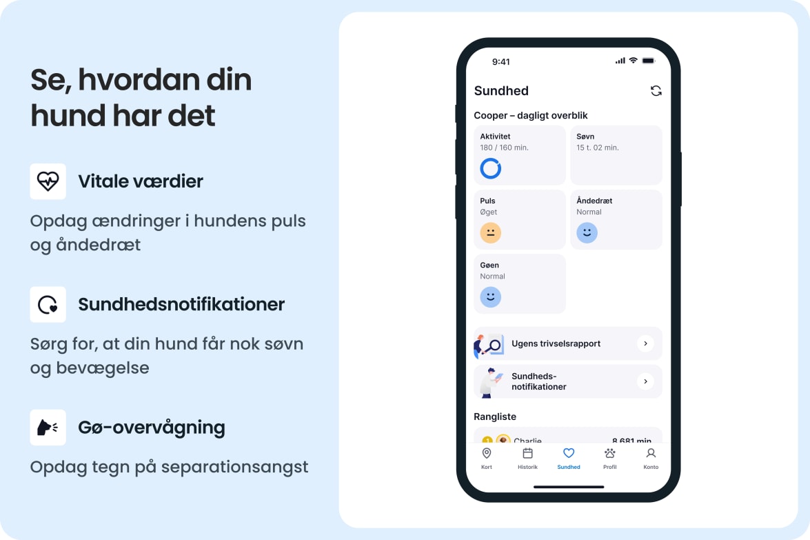 App interface showing dog health stats like activity, sleep, heart rate, and barking with alerts.