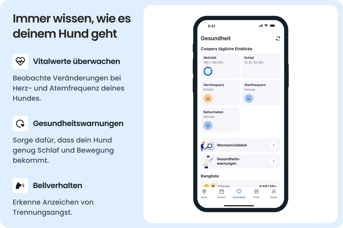 App interface showing dog health stats like activity, sleep, heart rate, and barking with alerts.