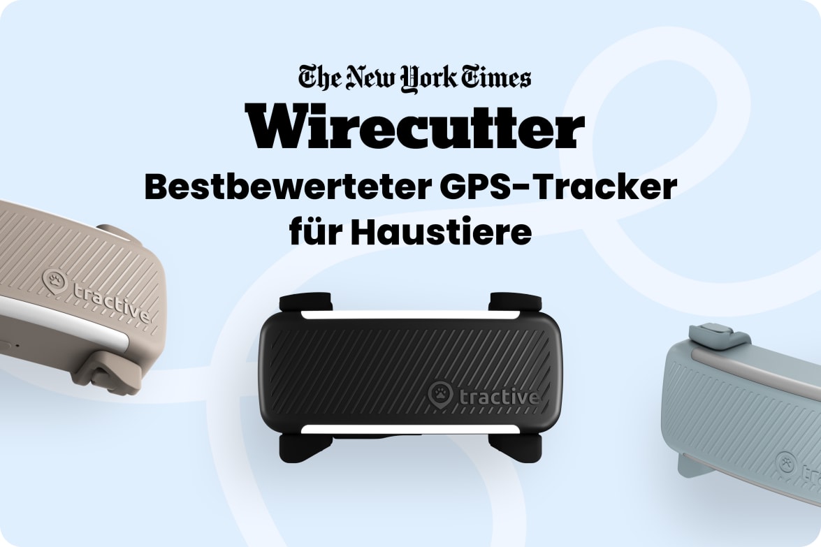 Tractive DOG 6 - Black labeled as #1 rated GPS pet tracker by Wirecutter, shown in multiple colors.