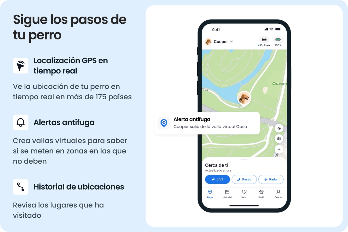 Tractive app showing live GPS tracking, escape alerts, and location history for dogs.