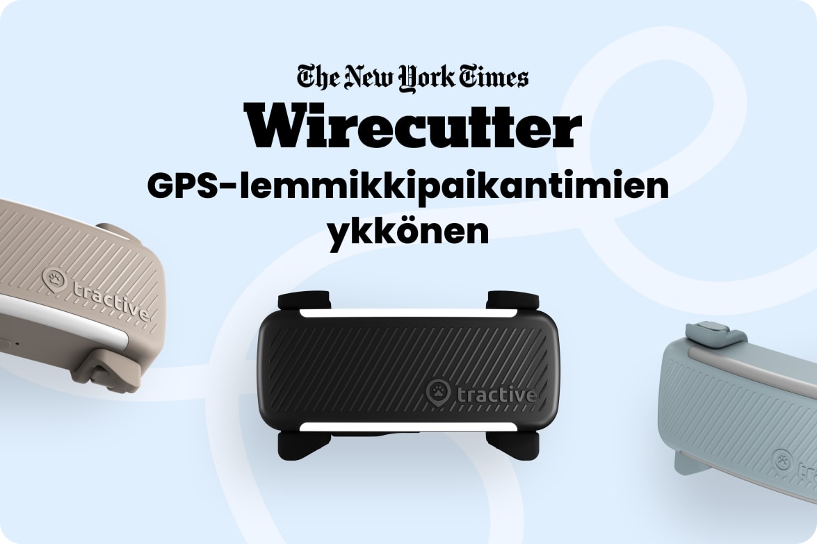 Tractive DOG 6 - Black labeled as #1 rated GPS pet tracker by Wirecutter, shown in multiple colors.