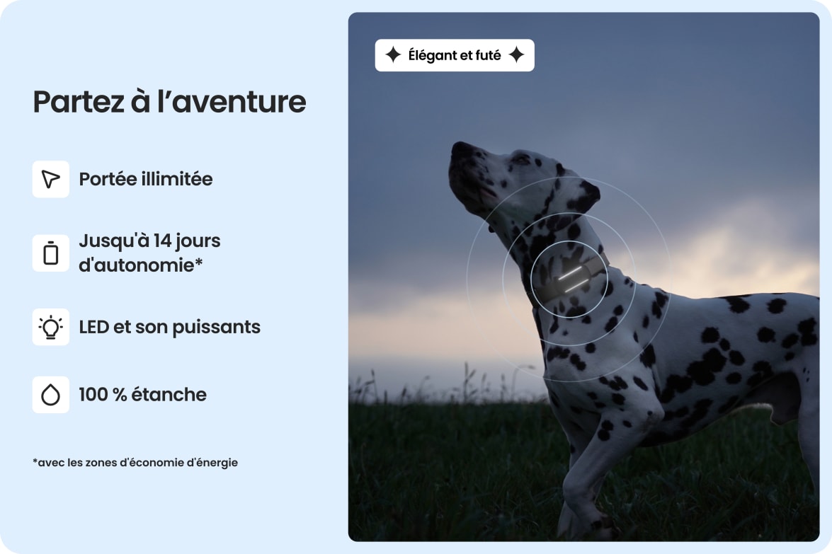 Dalmatian wearing Tractive DOG 6 - Black tracker, highlighting waterproof design, long battery life, and unlimited range.