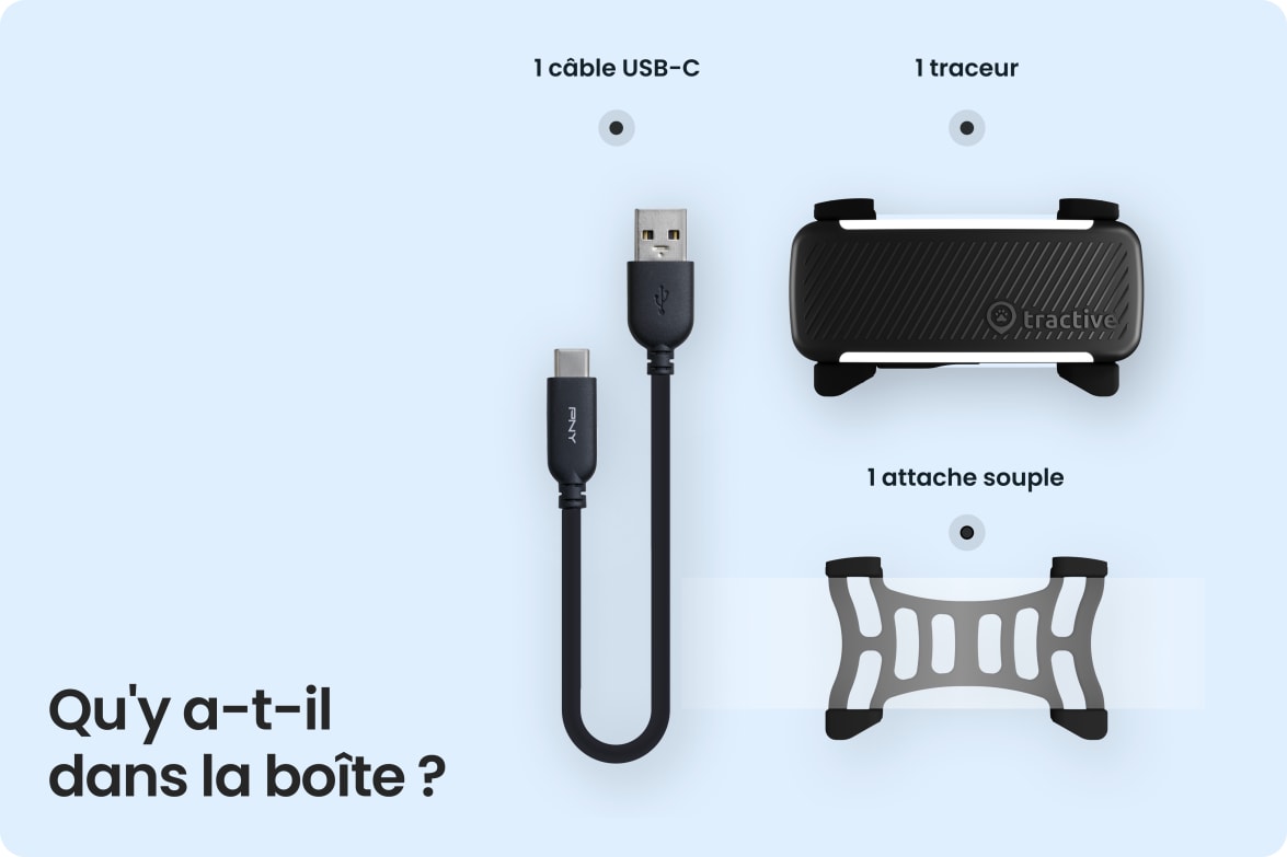 Box contents including Tractive DOG 6 - Black tracker, USB-C cable, and rubber clip.