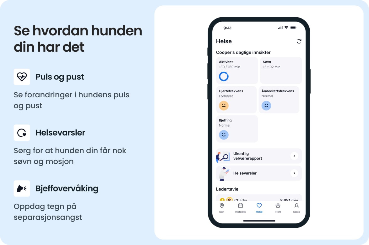 App interface showing dog health stats like activity, sleep, heart rate, and barking with alerts.