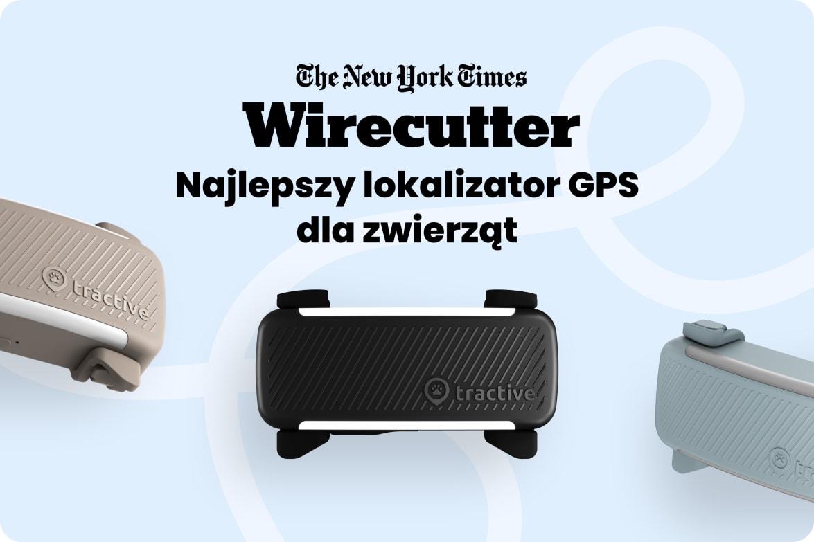 Tractive DOG 6 - Black labeled as #1 rated GPS pet tracker by Wirecutter, shown in multiple colors.