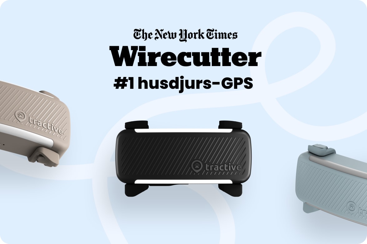 Tractive DOG 6 - Black labeled as #1 rated GPS pet tracker by Wirecutter, shown in multiple colors.
