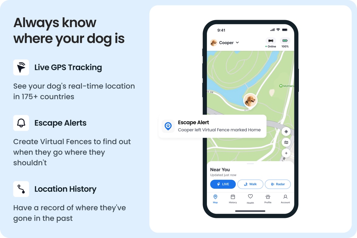 Tractive app showing live GPS tracking, escape alerts, and location history for dogs.