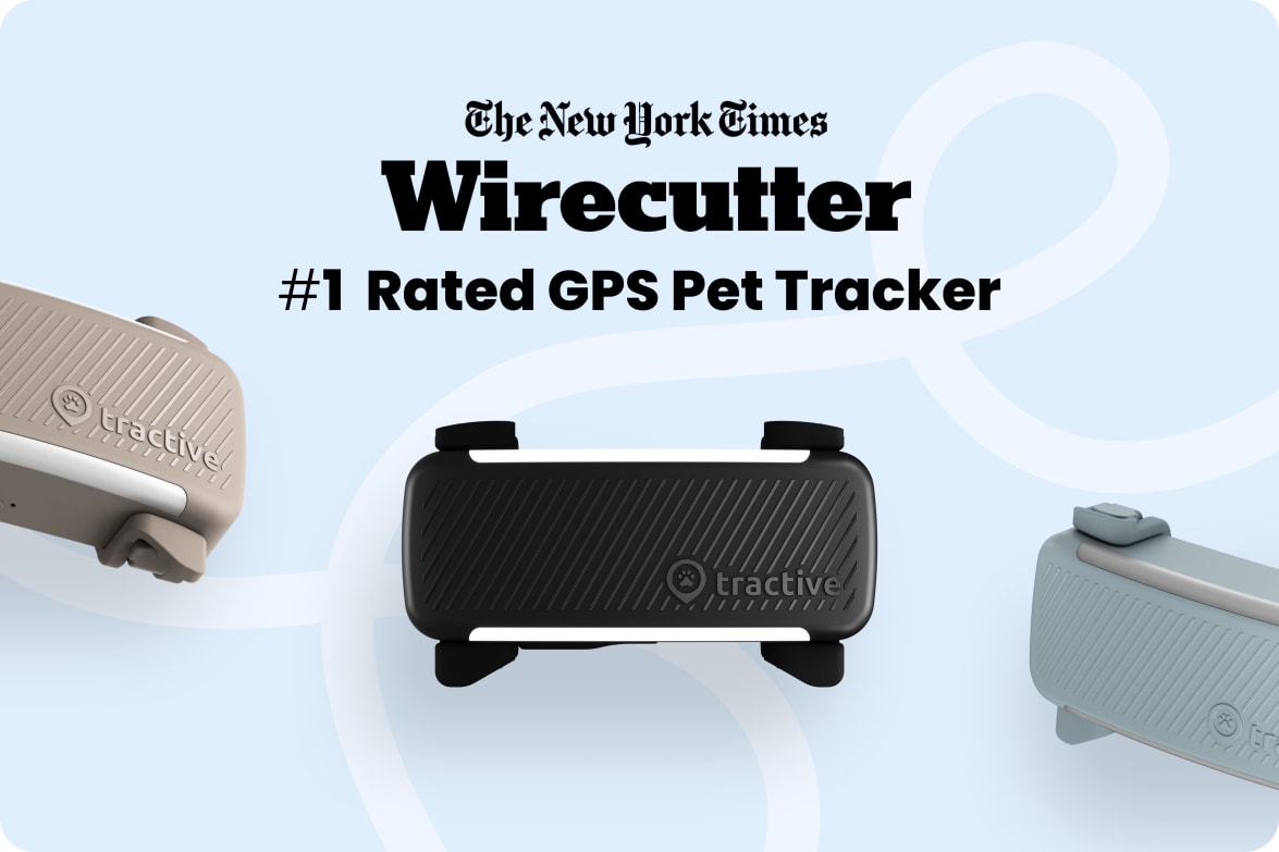 Tractive DOG 6 - Black labeled as #1 rated GPS pet tracker by Wirecutter, shown in multiple colors.