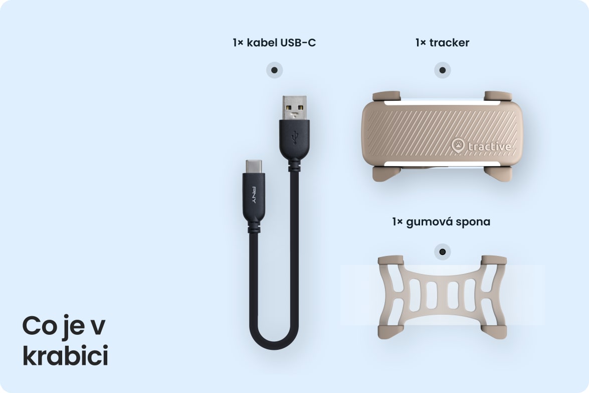 Box contents including Tractive DOG 6 - Brown tracker, USB-C cable, and rubber clip.