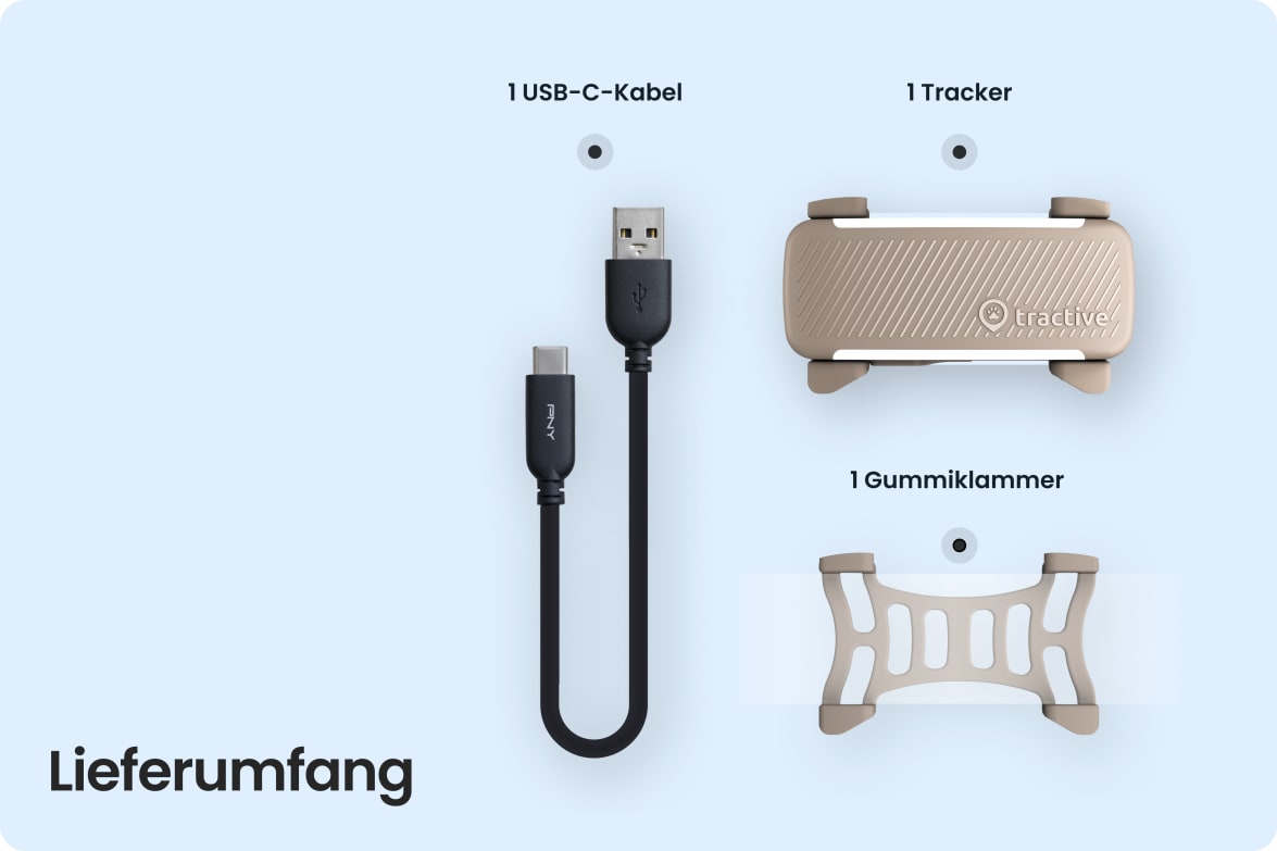 Box contents including Tractive DOG 6 - Brown tracker, USB-C cable, and rubber clip.