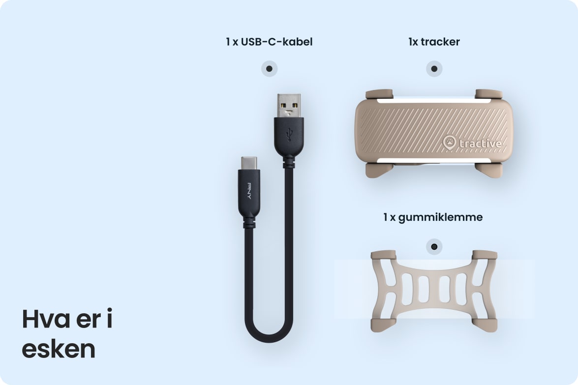 Box contents including Tractive DOG 6 - Brown tracker, USB-C cable, and rubber clip.