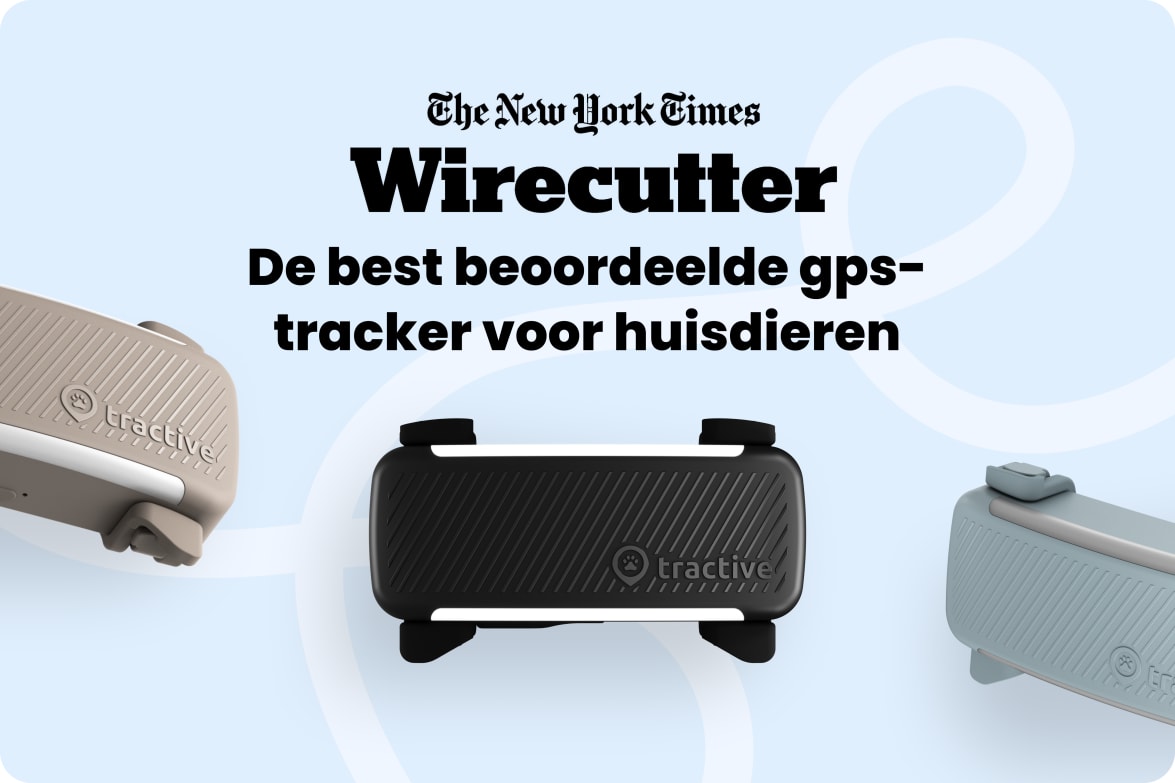 Tractive DOG 6 - Brown labeled as #1 rated GPS pet tracker by Wirecutter, shown in multiple colors.