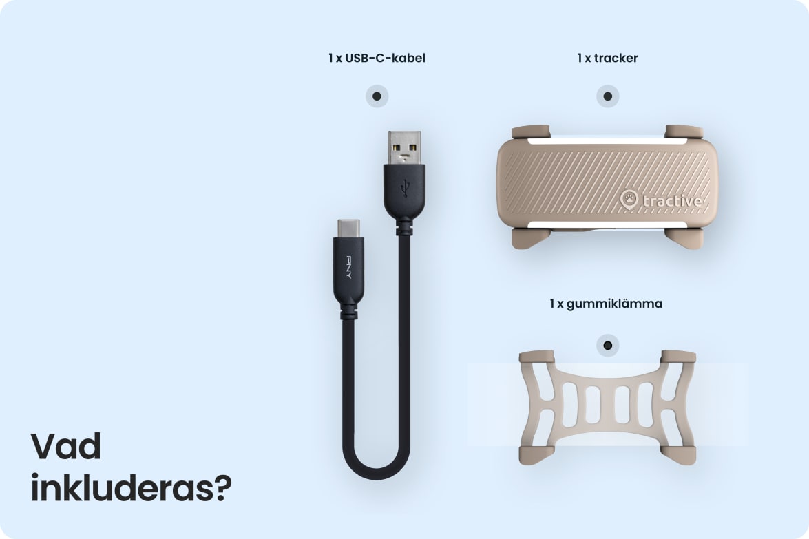 Box contents including Tractive DOG 6 - Brown tracker, USB-C cable, and rubber clip.
