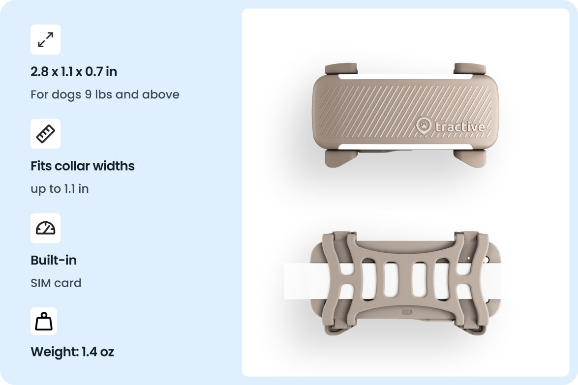 Tractive DOG 6 - Brown tracker with dimensions, collar compatibility, built-in SIM, and weight specifications.