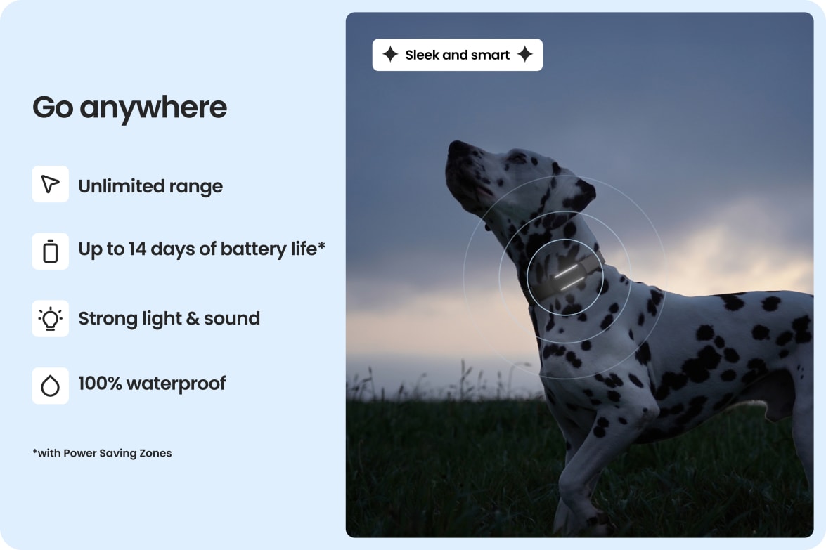 Dalmatian wearing Tractive DOG 6 - Brown tracker, highlighting waterproof design, long battery life, and unlimited range.