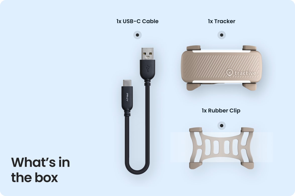 Box contents including Tractive DOG 6 - Brown tracker, USB-C cable, and rubber clip.
