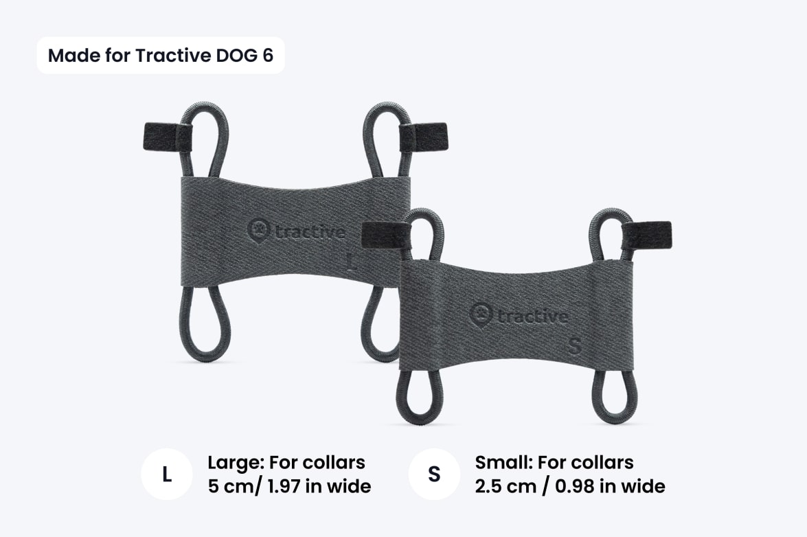 Sizing guide for Tractive DOG 6 collar clips: Large fits collars 5 cm (1.97 in) wide, and Small fits collars 2.5 cm (0.98 in) wide.