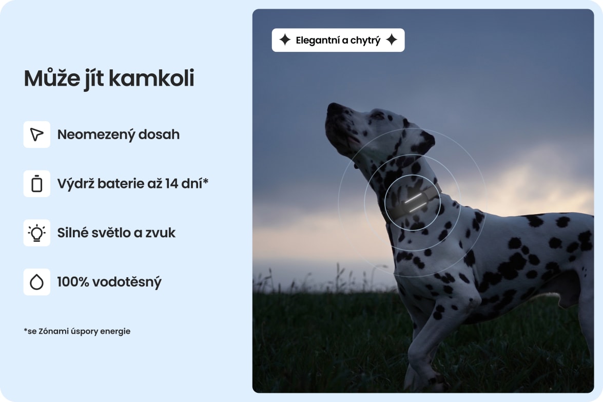 Dalmatian wearing Tractive DOG 6 - Mint tracker, highlighting waterproof design, long battery life, and unlimited range.