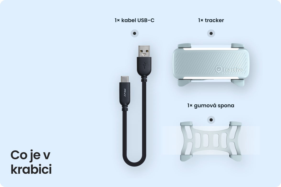 Box contents including Tractive DOG 6 - Mint tracker, USB-C cable, and rubber clip.
