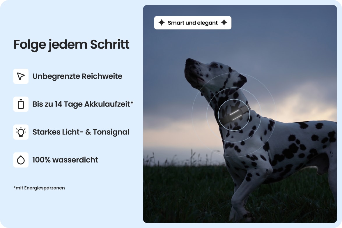 Dalmatian wearing Tractive DOG 6 - Mint tracker, highlighting waterproof design, long battery life, and unlimited range.