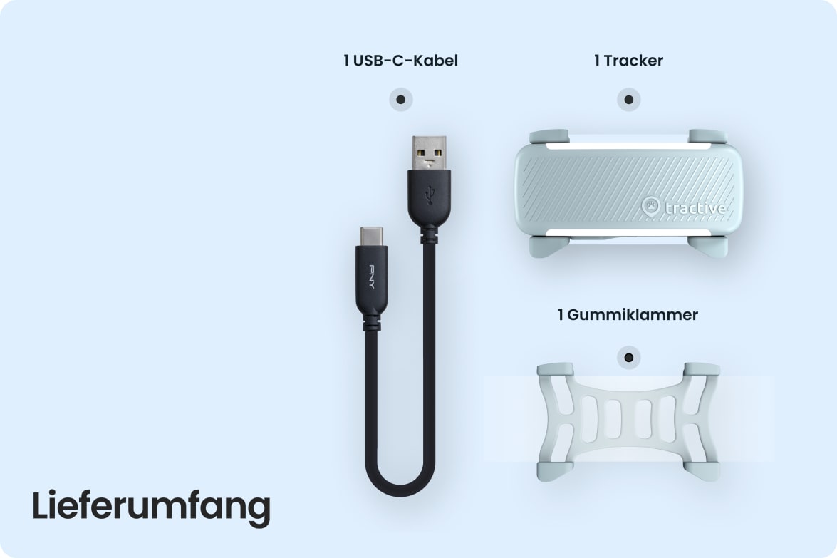 Box contents including Tractive DOG 6 - Mint tracker, USB-C cable, and rubber clip.