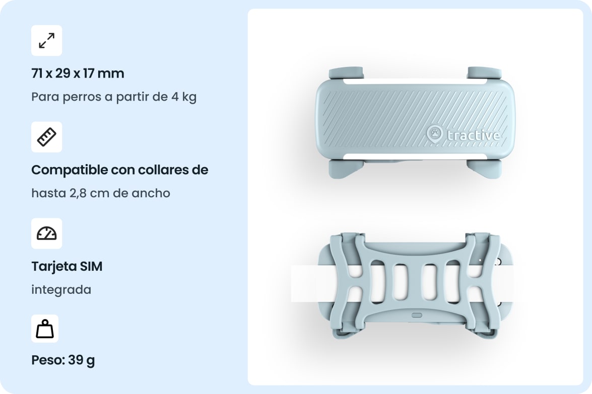 Tractive DOG 6 - Mint tracker with dimensions, collar compatibility, built-in SIM, and weight specifications.