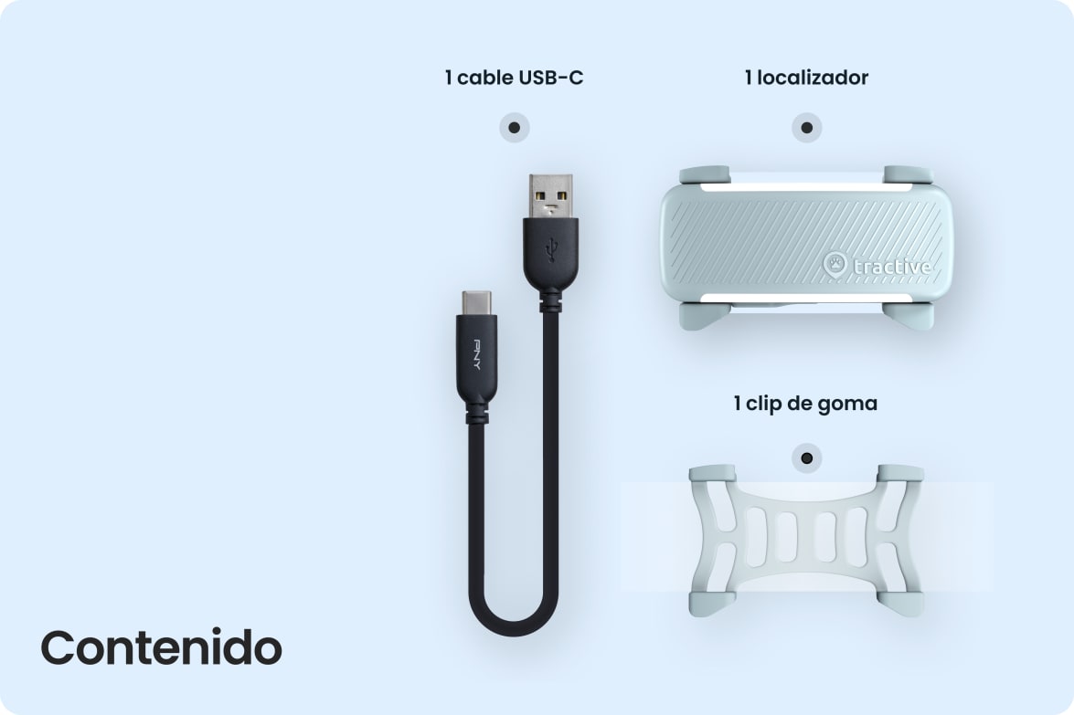 Box contents including Tractive DOG 6 - Mint tracker, USB-C cable, and rubber clip.