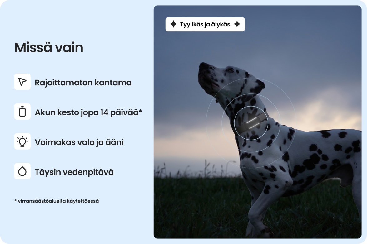 Dalmatian wearing Tractive DOG 6 - Mint tracker, highlighting waterproof design, long battery life, and unlimited range.