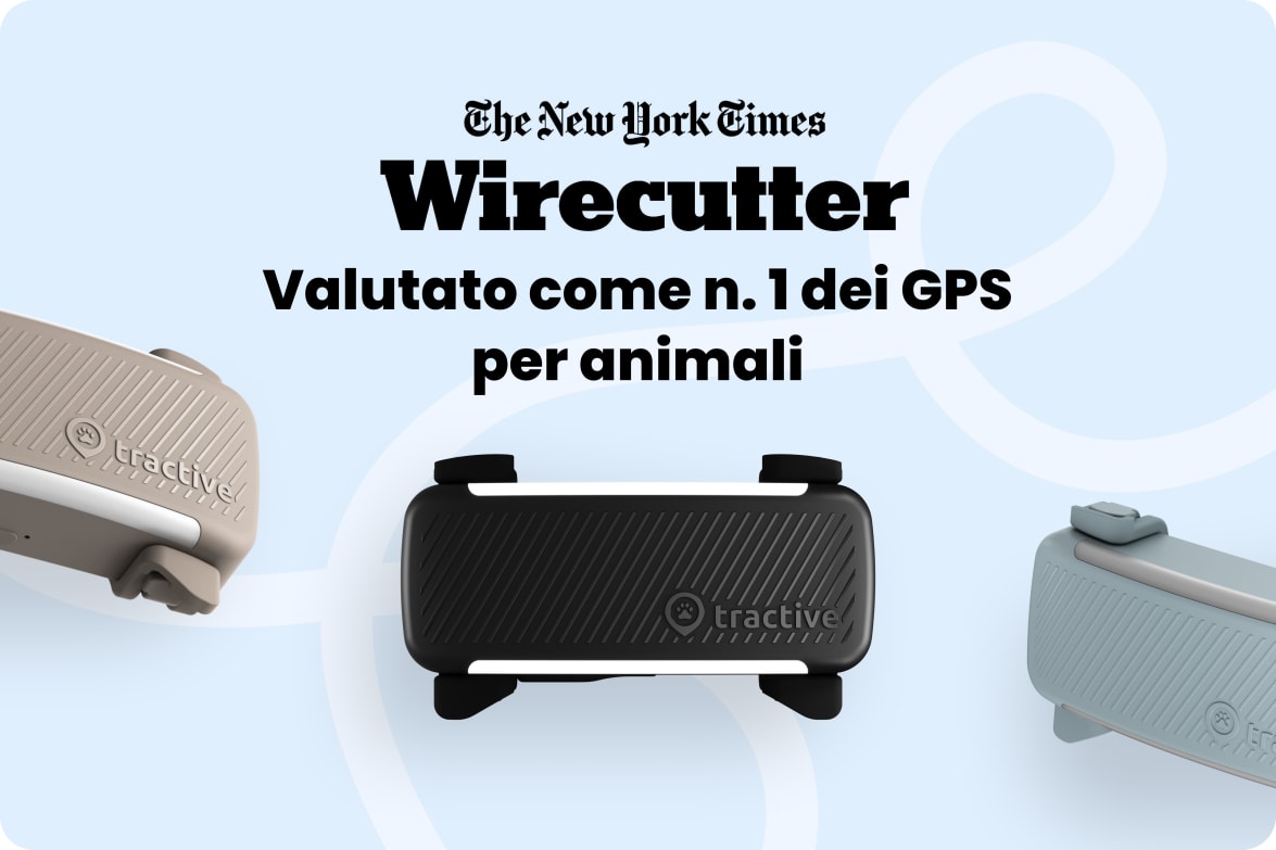 Tractive DOG 6 - Mint labeled as #1 rated GPS pet tracker by Wirecutter, shown in multiple colors.