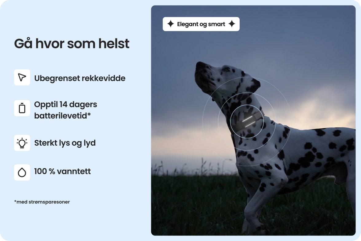 Dalmatian wearing Tractive DOG 6 - Mint tracker, highlighting waterproof design, long battery life, and unlimited range.
