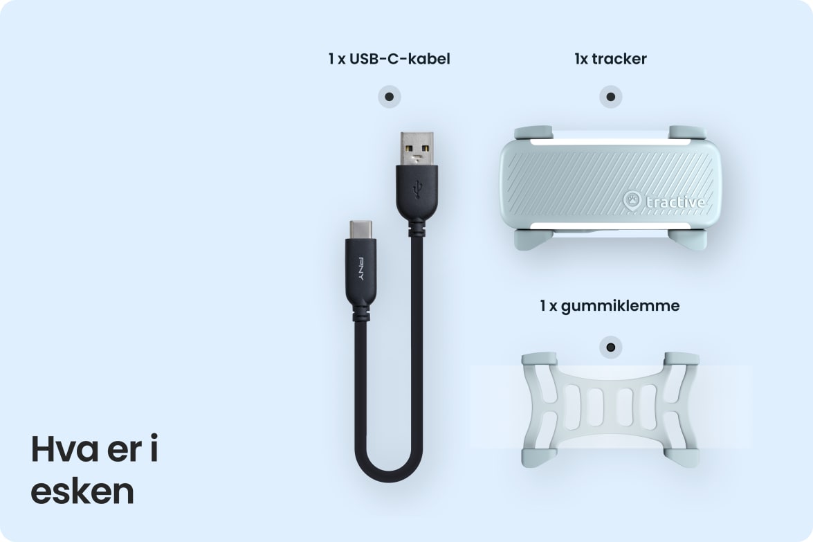 Box contents including Tractive DOG 6 - Mint tracker, USB-C cable, and rubber clip.