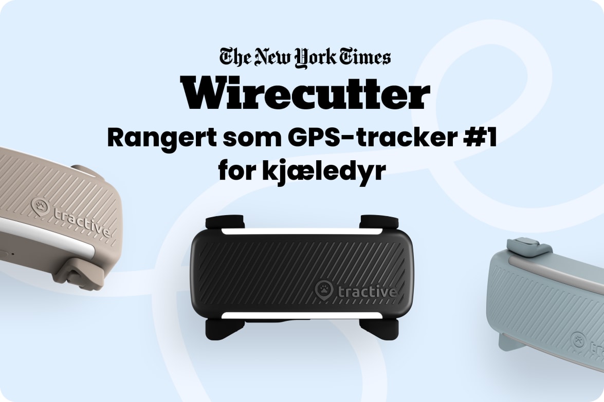 Tractive DOG 6 - Mint labeled as #1 rated GPS pet tracker by Wirecutter, shown in multiple colors.