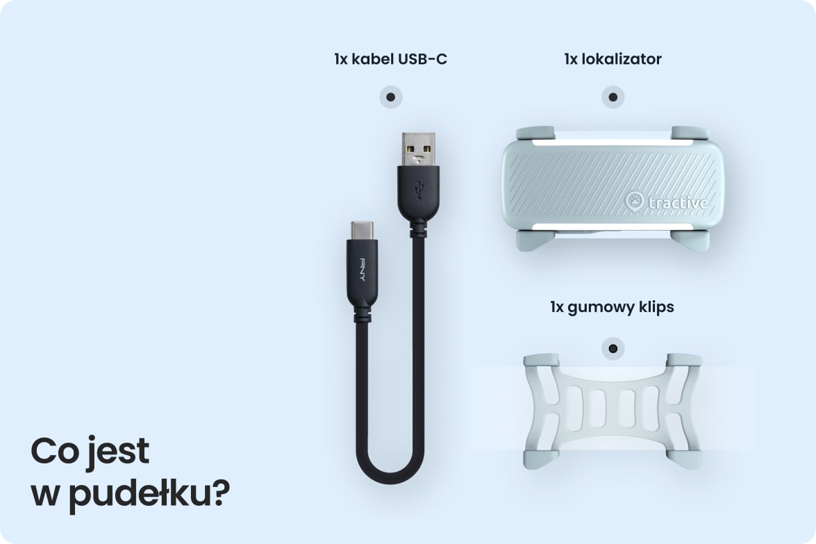 Box contents including Tractive DOG 6 - Mint tracker, USB-C cable, and rubber clip.
