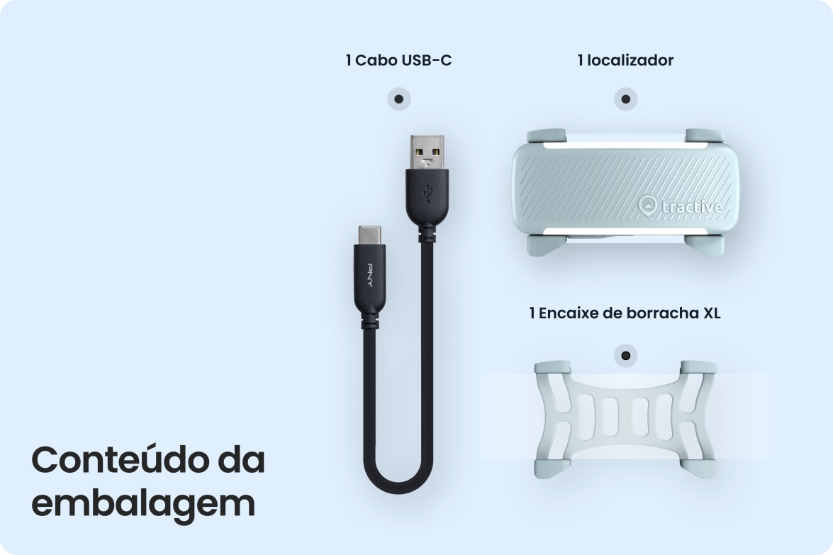 Box contents including Tractive DOG 6 - Mint tracker, USB-C cable, and rubber clip.