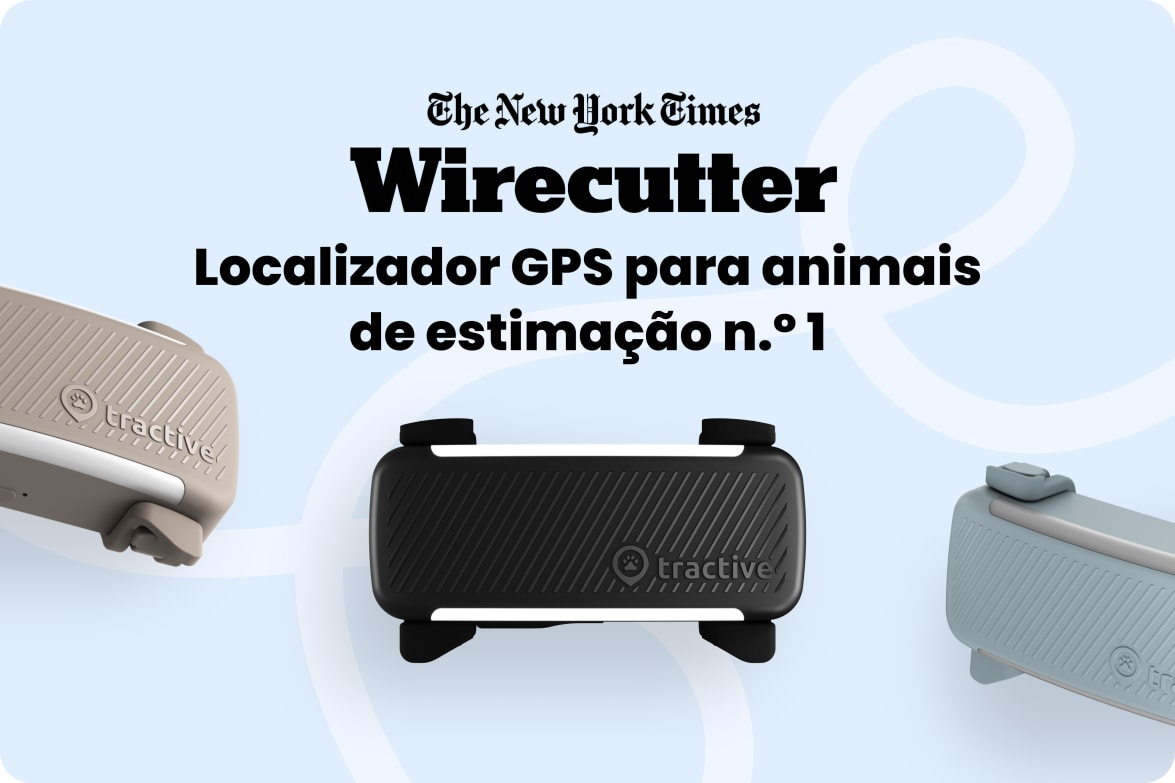 Tractive DOG 6 - Mint labeled as #1 rated GPS pet tracker by Wirecutter, shown in multiple colors.