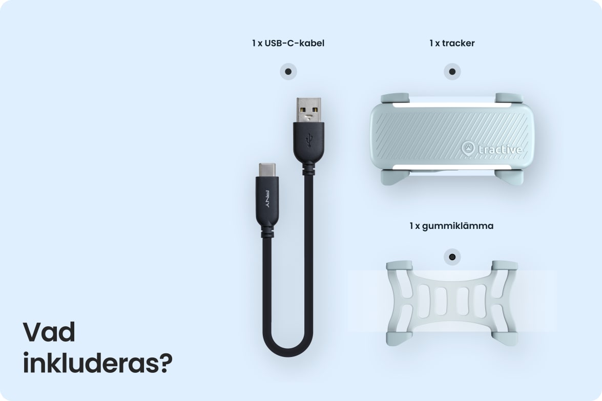 Box contents including Tractive DOG 6 - Mint tracker, USB-C cable, and rubber clip.