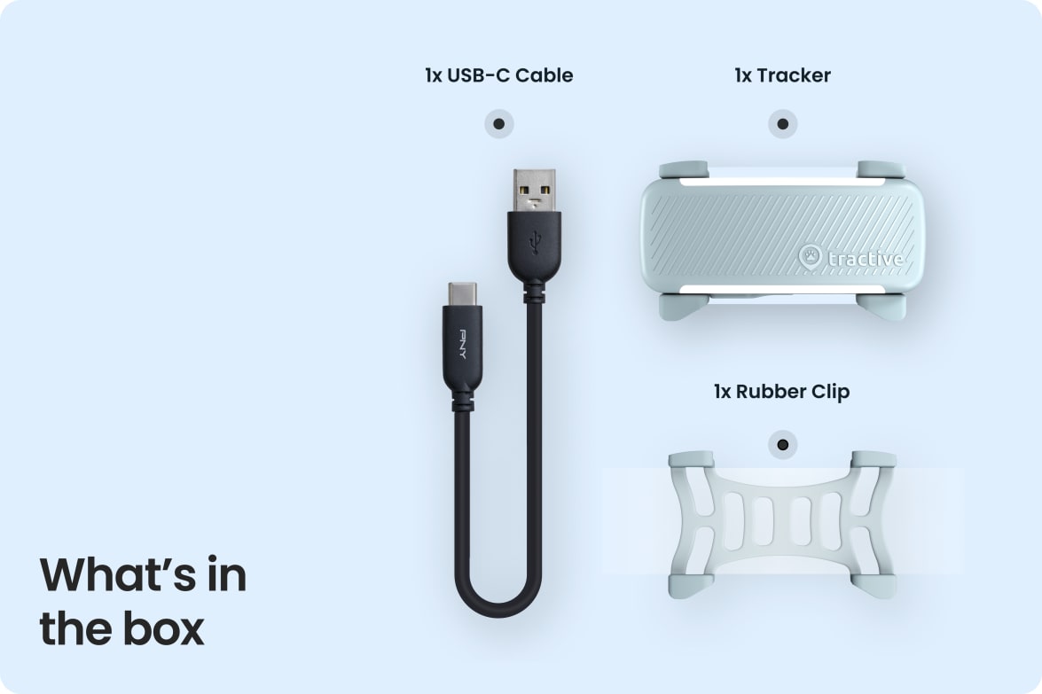 Box contents including Tractive DOG 6 - Mint tracker, USB-C cable, and rubber clip.