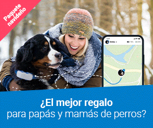 Tractive Banner CHRISTMAS ES - Dog